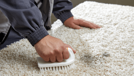 Professional Rug Cleaning Glenferrie